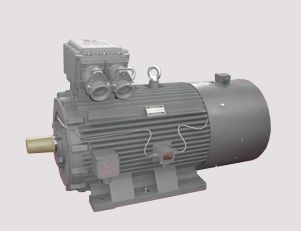 南陽(yáng)電機(jī)維修的正確流程是什么？