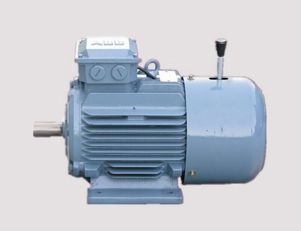 南陽三相異步電動(dòng)機(jī)的定期檢修