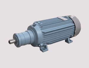 南陽電機廠的高壓電機定期維護的內容是什么呢？
