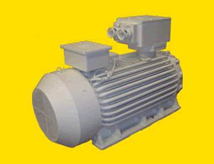南陽(yáng)TBFW系列防爆發(fā)電機(jī)