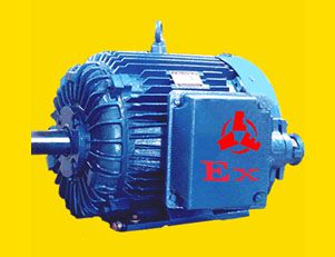 南陽YAXn系列高效率增安型三相異步電動機(jī)